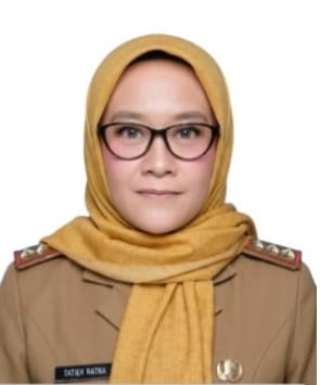 kepala dinas sosial