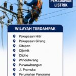 info pln